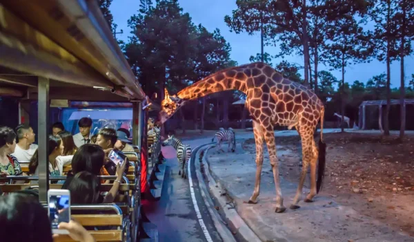 Chiang Mai Night Safari