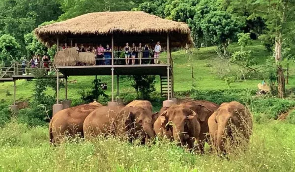 Elephant Nature Park